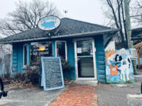 blue pig.jpg