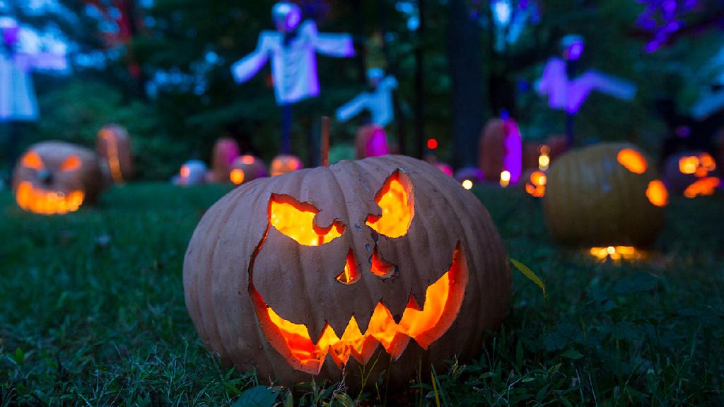 38 Questions And Answers About The Great Jack O Lantern Blaze Historic Hudson Valley