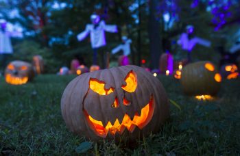 The Great Jack O'Lantern Blaze at Van Cortlandt Manor in Croton-on-Hudson, N.Y. on October 8, 2016.  (Photo by Tom Nycz)