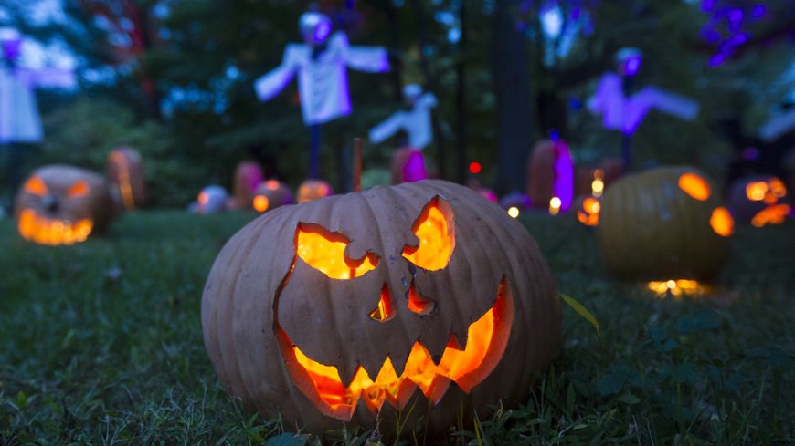 Image result for pumpkin jack o lantern