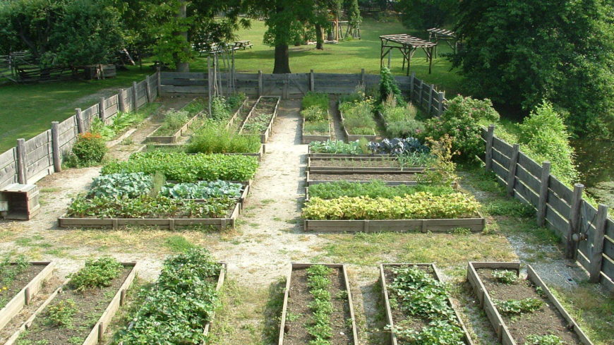 Garden From MH