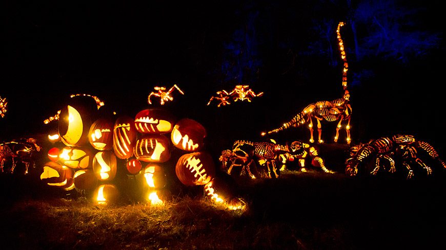 Dinosaurs at The Great Jack O'Lantern Blaze