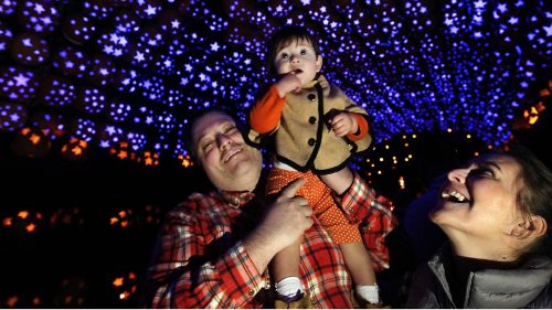 The Great Jack O'Lantern Blaze