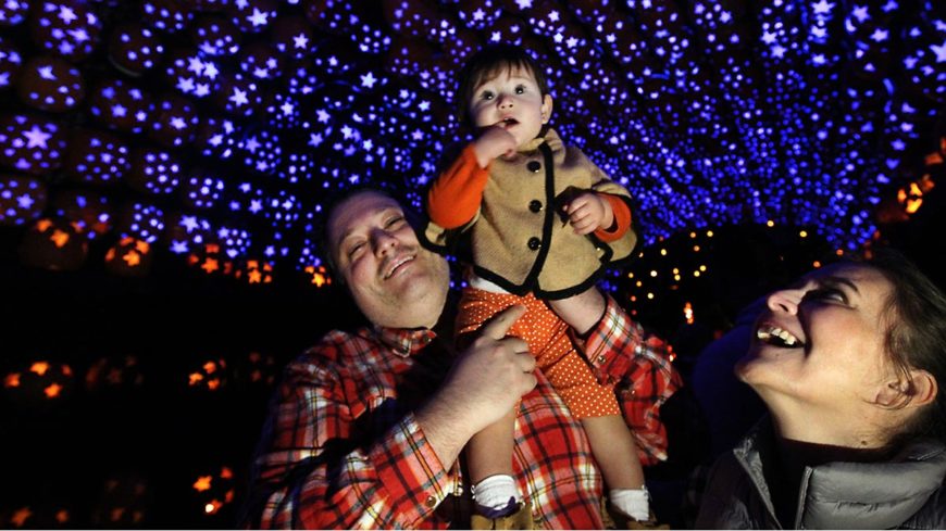 The Great Jack O'Lantern Blaze