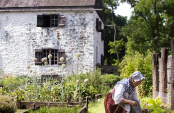 Philipsburg Garden 1